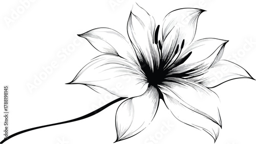 Elegant Black and White Floral Drawing with 'Flowers' Word, Botanical Illustration for Design Projects