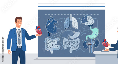 Human Anatomy Presentation Featuring Heart Lungs Brain and Other Vital Organs Illustration