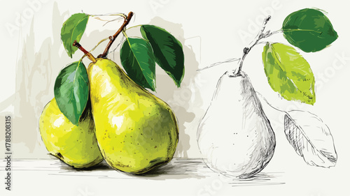 Detailed Drawing of Green Pear with Leaves and Vector Artwork