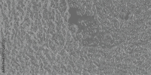 Detailed abstract grayscale texture with irregular organic shapes and a mottled surface, creating a complex and visually rich background for digital art and design