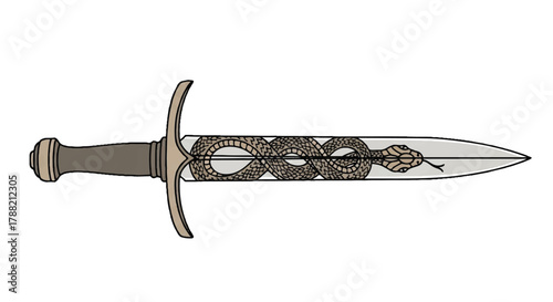 Medieval dagger featuring a menacing coiled snake engraving on the blade, rendered in a crisp flat 2D vector illustration style against a clean white background.