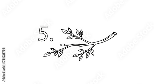 Minimalist line art illustration featuring a tree branch and the number five design element