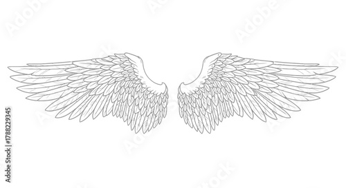 Artistic rendition of stylized wings showcases intricate feather detailing and symmetrical design
