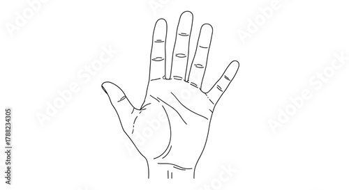 Minimalistic hand sketch showcasing human anatomy and lines over plain white surface