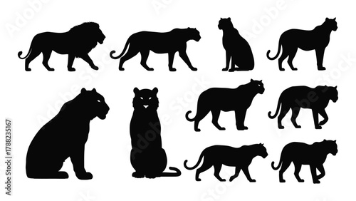 Big cat silhouettes collection isolated on white background, Vector