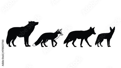 Canine silhouettes collection isolated on white background, Vector