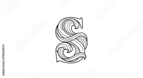 Elegant flowing letter S design with intricate details and ornamental elements pattern