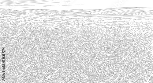 Ink drawing capturing the essence of a windswept field with distant hills in monochrome landscape