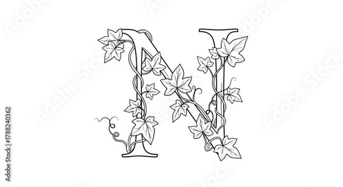 Botanical letter N with ivy tendrils creating an elegant natural design illustration