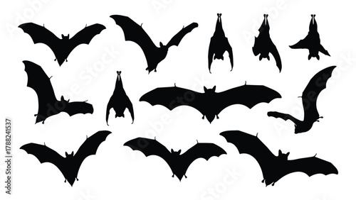 Various bat silhouettes in flight and hanging poses isolated on white background, Vector