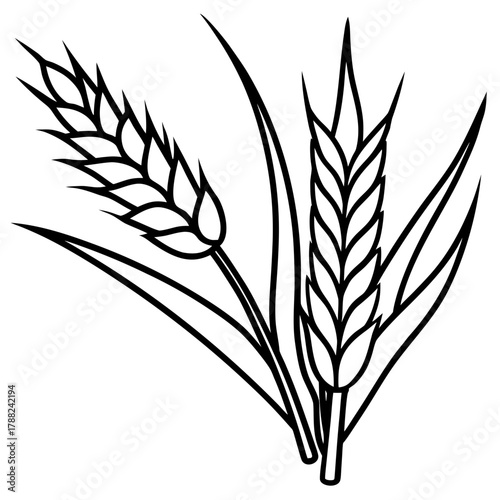 Stylized black and white illustration of wheat stalks