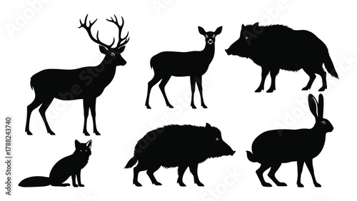Wildlife silhouettes collection isolated on white background, Vector