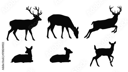 Deer silhouettes in various poses isolated on white background, Vector