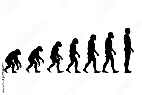 human evolution from ancient times to modern times