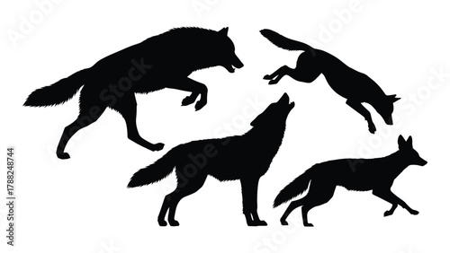 Wolf silhouettes in various poses isolated on white background, Vector
