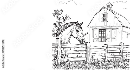 Film reel and road silhouette — black and white illustration symbolizing travel cinema, storytelling, and motion picture journeys