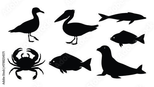 Marine and aquatic animal silhouettes isolated on white background, Vector