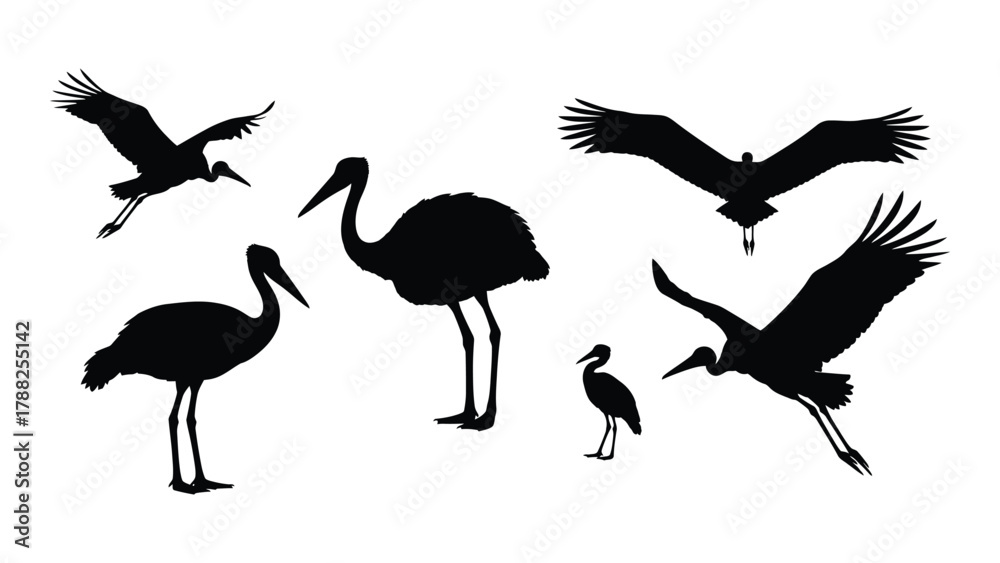 Obraz premium Stork and crane bird silhouettes isolated on white background, Vector