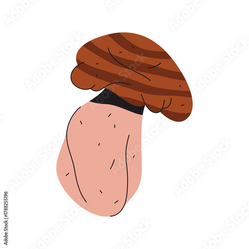 Vector boletus edulis icon. Mushroom cartoon symbol. Organic fungus for forest or wood wildlife. Mycology and biology poster element. Edible wild autumn flora. Nature and botany emblem. Fungi