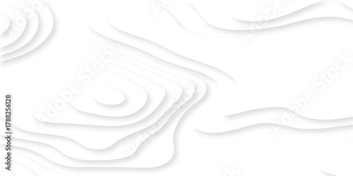 Luxury creative spiral paper background. vector natural shadow papercut web topography map spiral line. white light dynamic smooth cover origami papercut texture background.	
