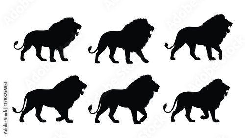 Lion silhouettes walking and roaring isolated on white background, Vector