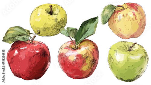 Variety of Apples in a Collection for Red Apple Comparison