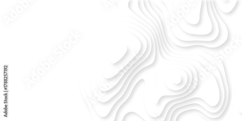 Luxury creative spiral paper background. vector natural shadow papercut web topography map spiral line. white light dynamic smooth cover origami papercut texture background.	
