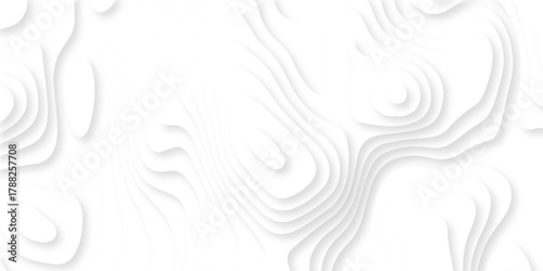 Luxury creative spiral paper background. vector natural shadow papercut web topography map spiral line. white light dynamic smooth cover origami papercut texture background.	
