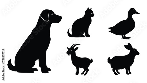 Assortment of animal silhouettes isolated on white background, Vector