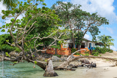 Fototapeta Naklejka Na Ścianę i Meble -  Playa Rincón , Dominican Republic, Samana. Beach  photo