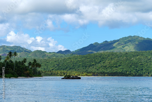 Fototapeta Naklejka Na Ścianę i Meble -  Playa Rincón , Dominican Republic, Samana. Beach  photo