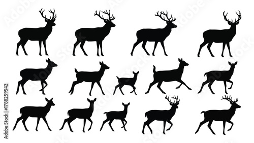 Collection of deer silhouettes isolated on white background, Vector