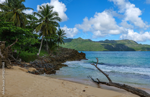 Fototapeta Naklejka Na Ścianę i Meble -  Playa Rincón , Dominican Republic, Samana. Beach  photo
