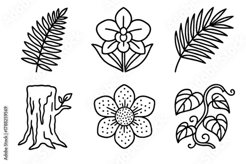 Rainforest Flora Icons. Rainforest Flora linear icon set: ferns, orchids, palm leaves, mossy trunk, giant flower, tropical vine.