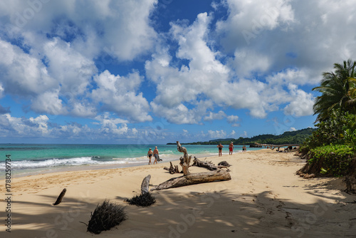 Fototapeta Naklejka Na Ścianę i Meble -  Playa Rincón , Dominican Republic, Samana. Beach  photo