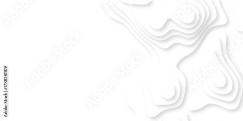 Luxury creative spiral paper background. vector natural shadow papercut web topography map spiral line. white light dynamic smooth cover origami papercut texture background.	
