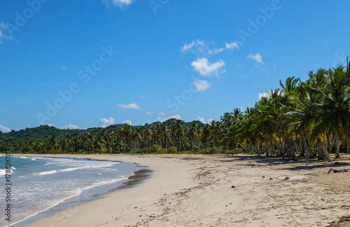 Fototapeta Naklejka Na Ścianę i Meble -  Playa Rincón , Dominican Republic, Samana. Beach  photo