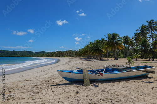 Fototapeta Naklejka Na Ścianę i Meble -  Playa Rincón , Dominican Republic, Samana. Beach  photo