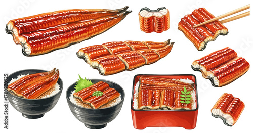 水彩の鰻の蒲焼と鰻重・うな丼イラストセット,和食,土用丑の日,高級食材,手描き,ベクター
