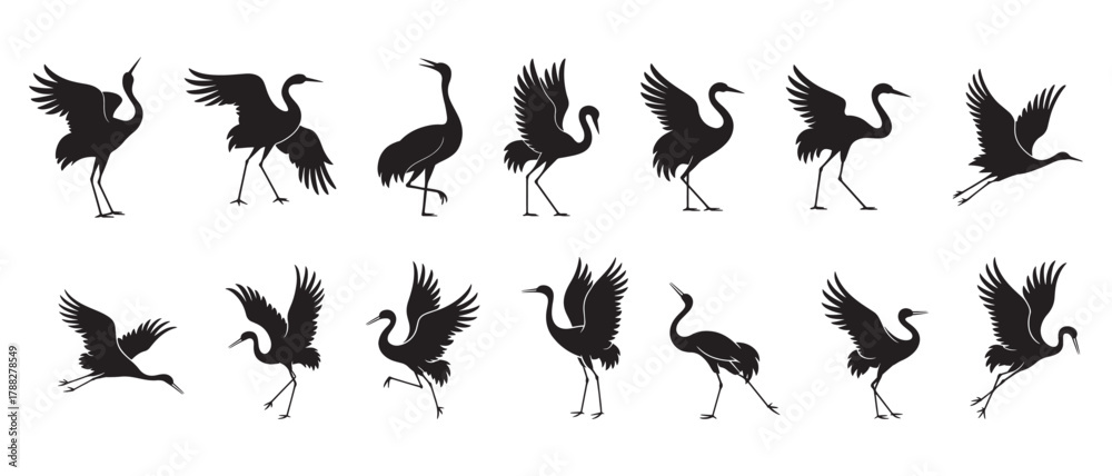 Obraz premium Crane bird silhouettes collection, elegant heron poses, flying and standing birds, wildlife illustration, nature animal design, graceful bird vector art, black silhouette