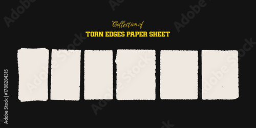 Set of blank paper sheet collection with torn edges isolated on transparent background vector design, realistic ripped page template illustration for notes, memos, scrapbooking projects, presentation,