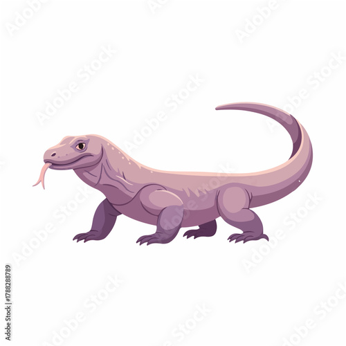 Komodo Dragon Walking with Flicking Tongue