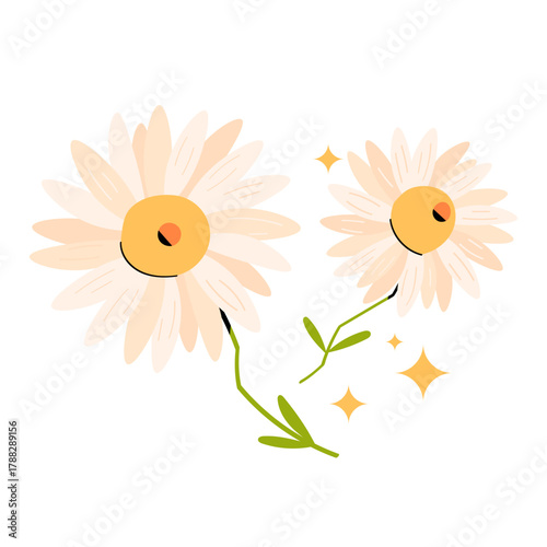 Minimalistic vector illustration of chamomile flowers. Delicate botanical design perfect for tea packaging, cosmetics, natural products, and herbal concepts. Isolated on white background 