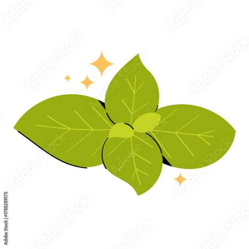 Fresh mint leaves in minimal vector style. Green botanical element perfect for tea packaging, organic products, food design, and natural health concepts. Isolated on white background