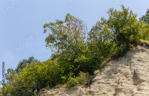 View of trees on rocks against a blue sky background