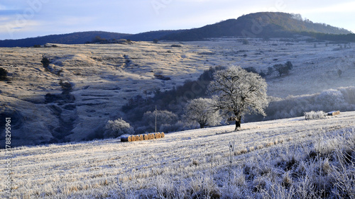 Dawn on a cold winter day in the hills of Transylvania. Rime ice, low winter temperatures. 