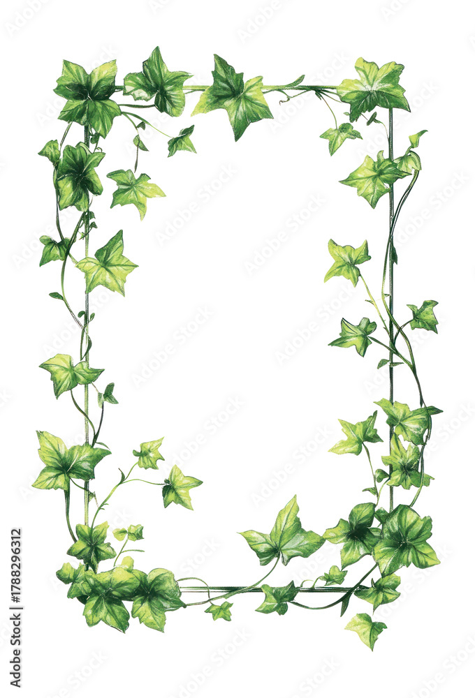 Obraz premium PNG A cute frame made of leaves vines leaf illustration green.