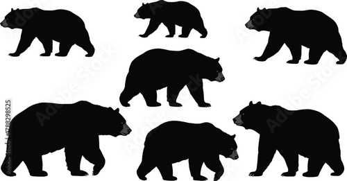 Black bear silhouettes walking in different poses, wildlife vector illustration, nature animal concept, forest mammal design for educational and creative projects