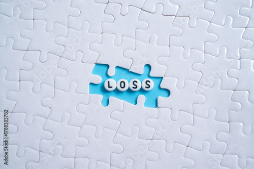 Loss text on light blue background with jigsaw puzzle