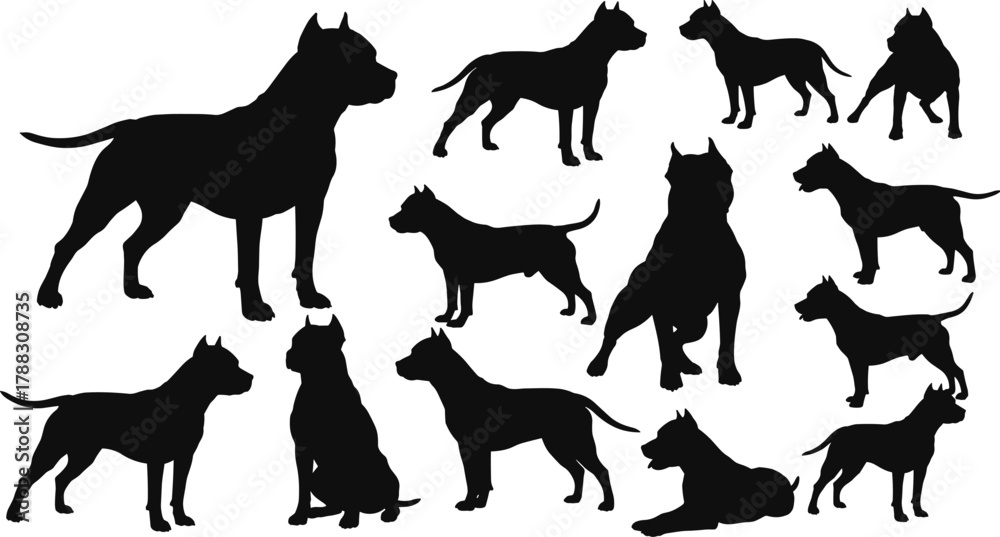 Fototapeta premium Pitbull dog silhouettes in various poses, domestic pet vector illustration, strong guard dog concept, animal design for training, security, and educational projects